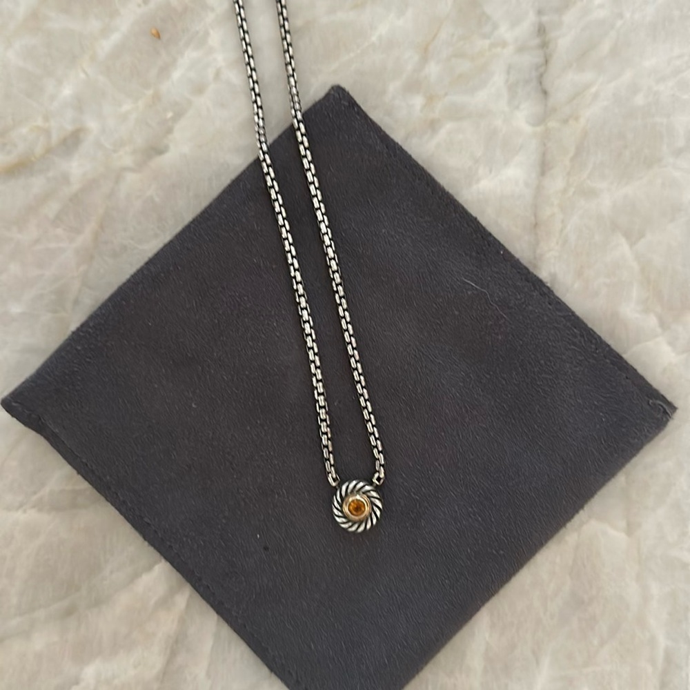 David Yurman- petite cookie necklace
Silver and Gold Necklace with Citrine stone